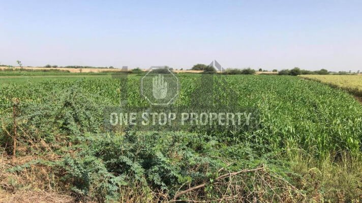 Land For Sell In Kanjari