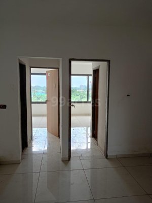 Gamara Exotica