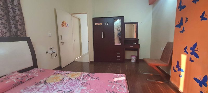 Orchid Whitefield
