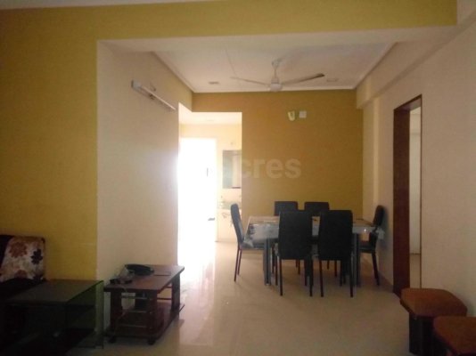 Orchid Whitefield
