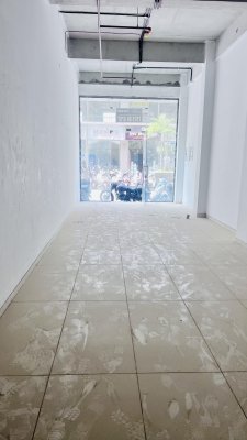 Money Plant High Street