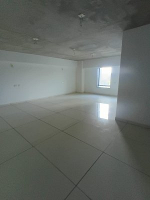 parallax image