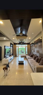 parallax image