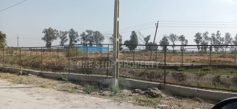 Plot For Sell In Tajpur